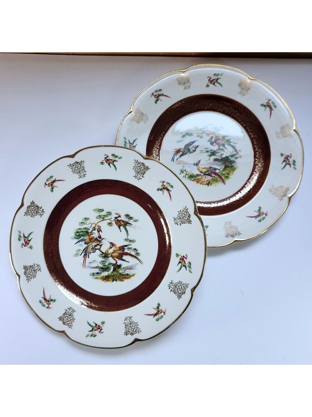 Wood & Sons Ascot Ironstone Plates – 10¾” Set of 2 – Vintage Transferware